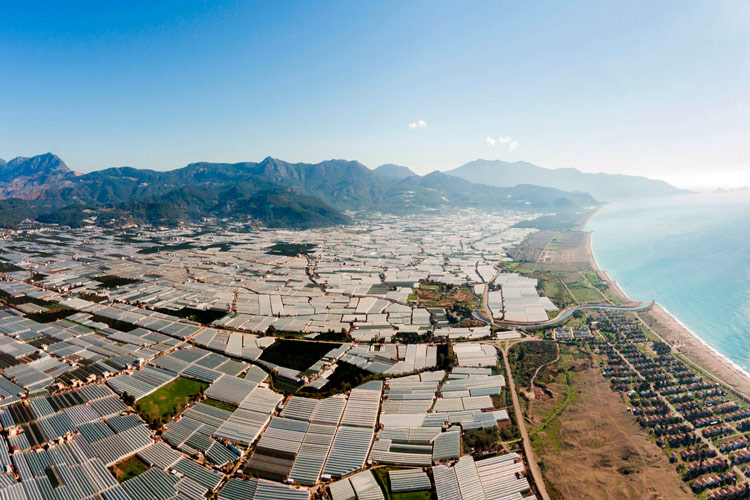 Image of the Poniente Almeriense, area in which the project will be developed.